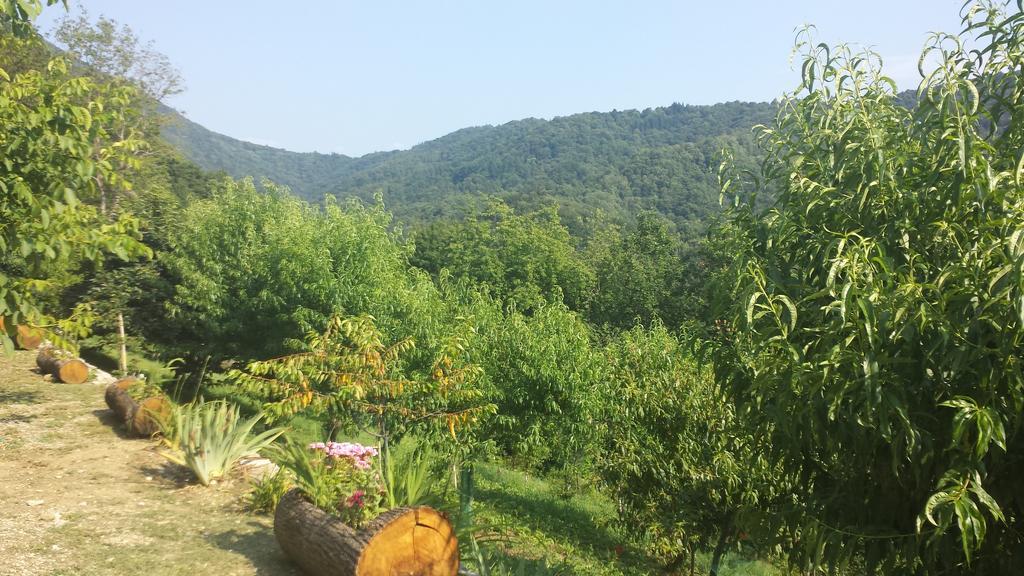 GrimaccoCasa Delle Noci别墅 客房 照片